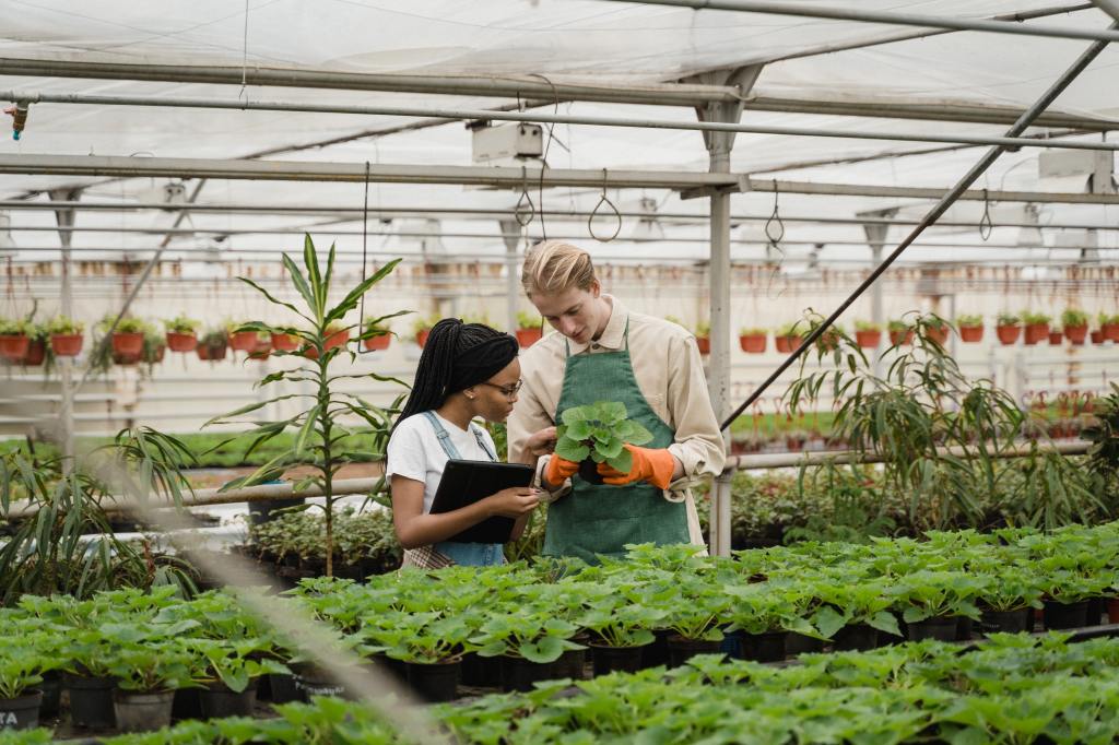 Foods You Can Grow in a Hydroponic&nbsp;Garden